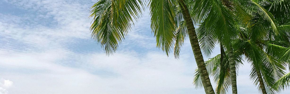 Promo card background